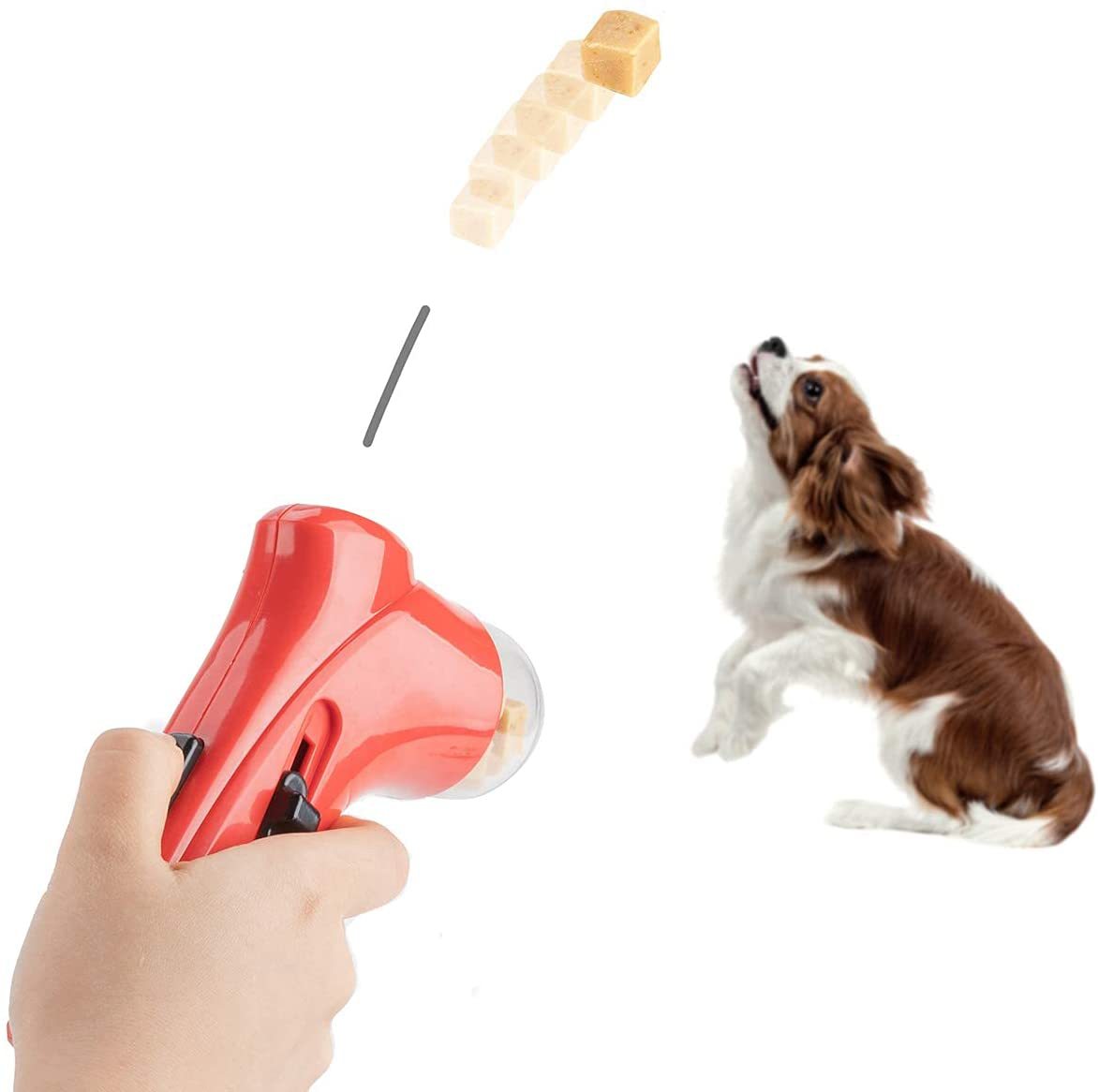 iru Home™ 犬の餌やり器